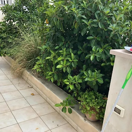 Gabbiani Hébergement de vacances Rome